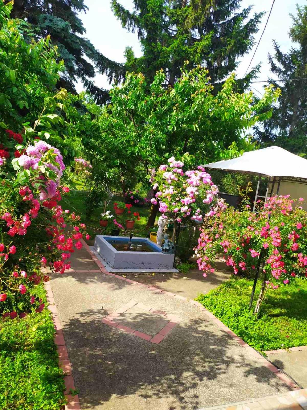 Apartment Ljupka Pančevo Exteriör bild