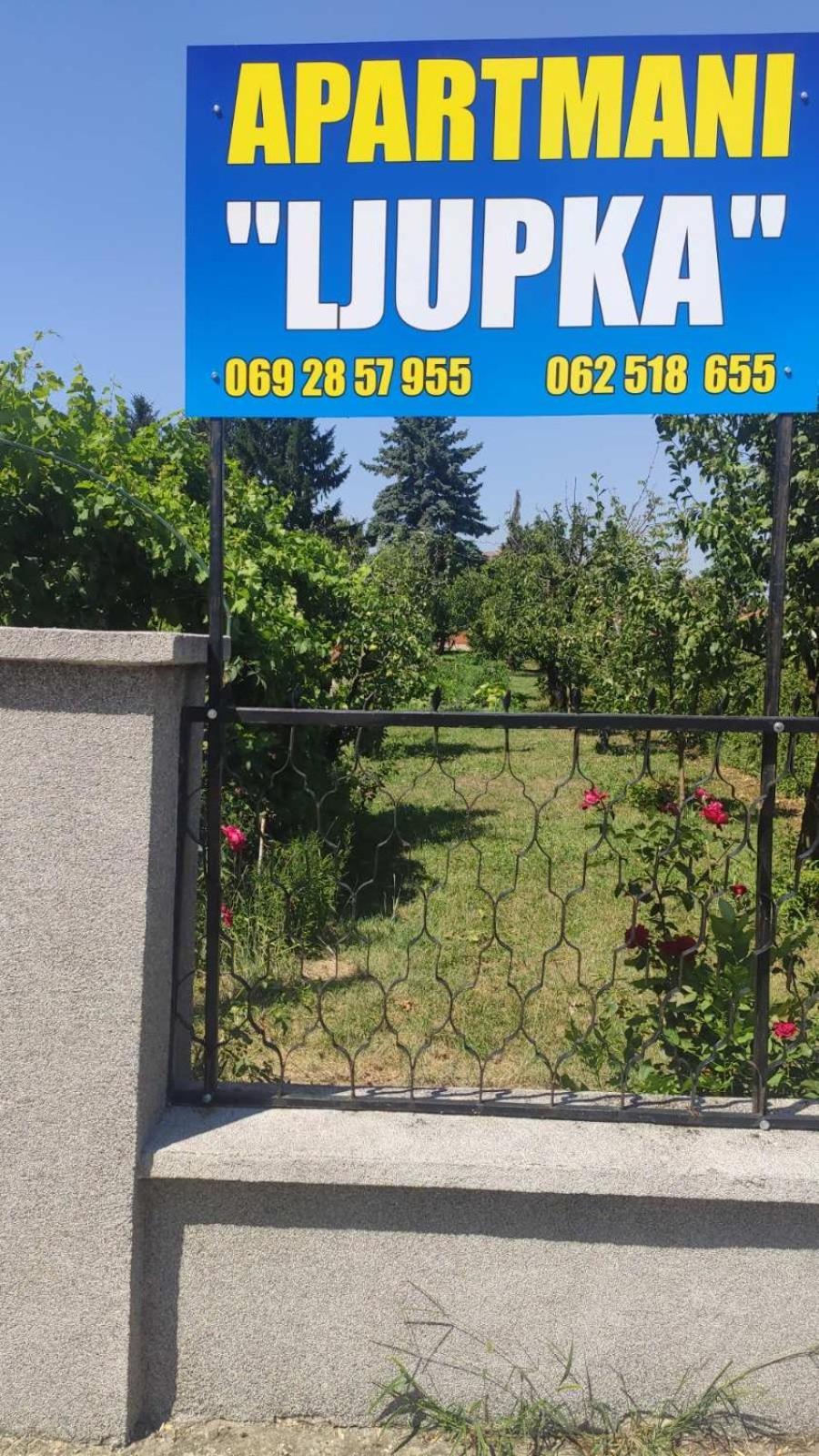 Apartment Ljupka Pančevo Exteriör bild