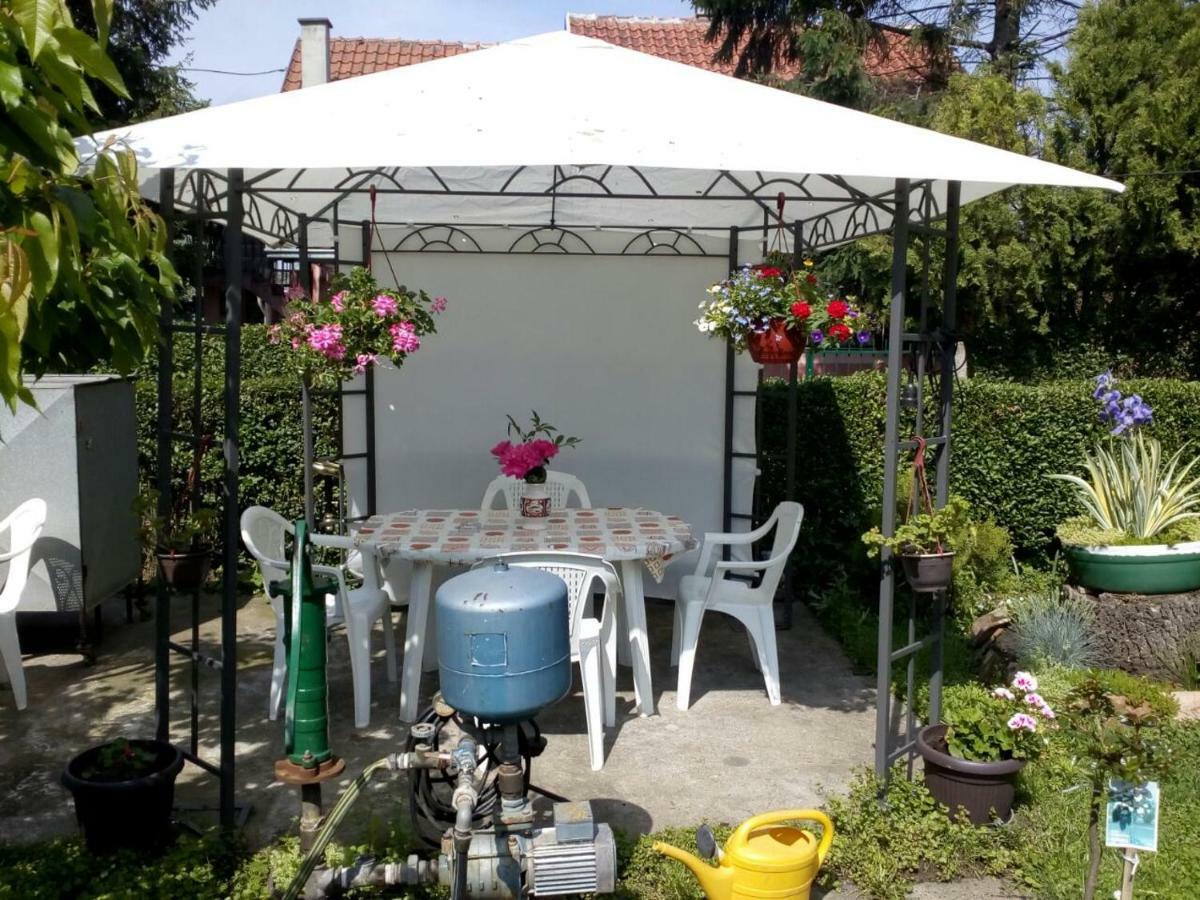Apartment Ljupka Pančevo Exteriör bild