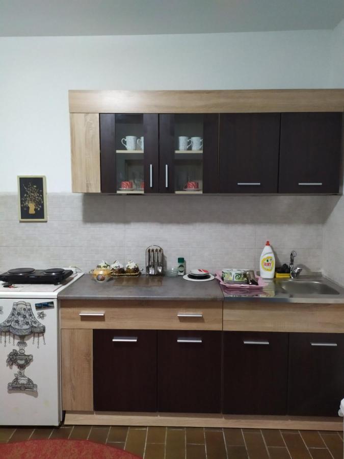 Apartment Ljupka Pančevo Exteriör bild