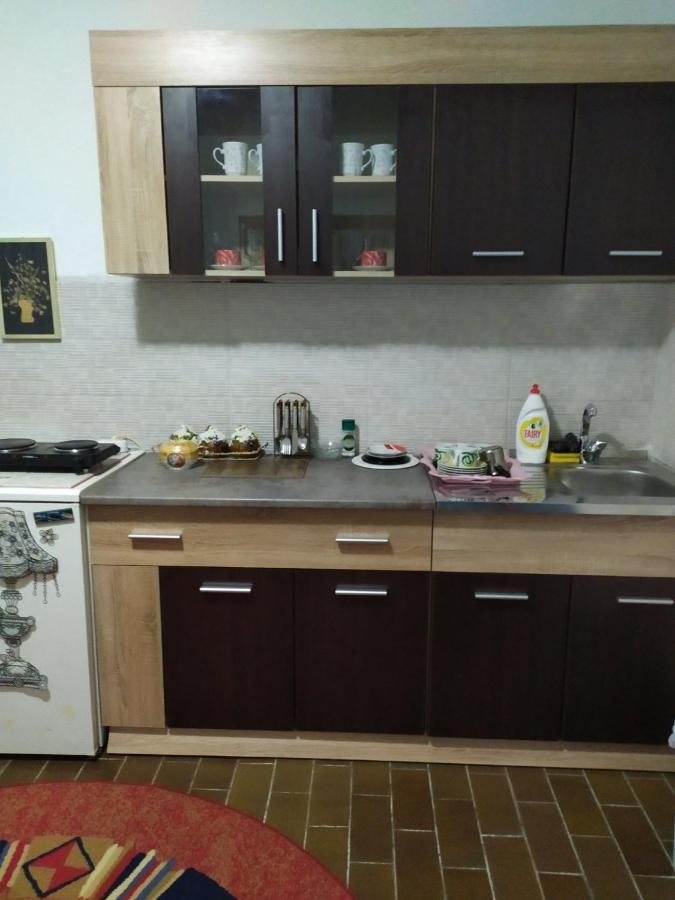 Apartment Ljupka Pančevo Exteriör bild
